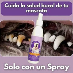 Spray Happy Pets™| Compra 1 y te regalamos el 2 🎁