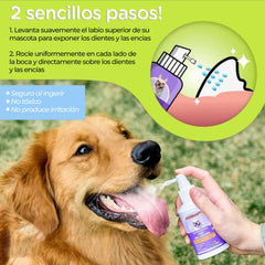 Spray Happy Pets™| Compra 1 y te regalamos el 2 🎁